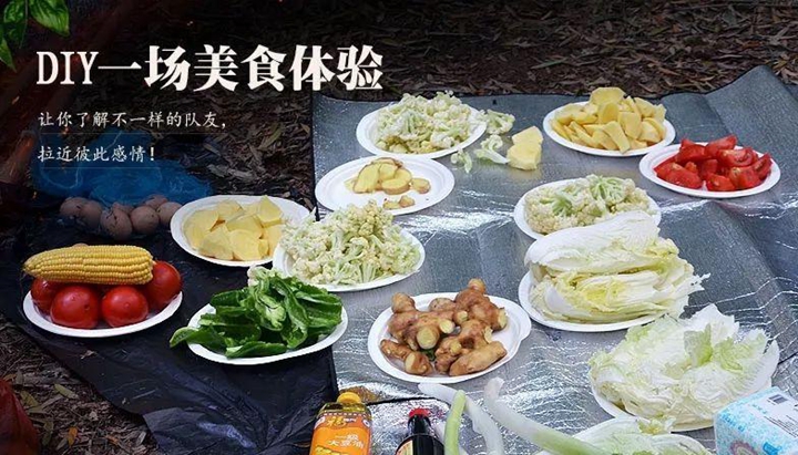 拓展训练 拓展训练